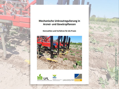 Cover der Broschüre „Mechanische Unkrautregulierung in Arznei- und Gewürzpflanzen". Quelle: Bayerische Landesanstalt für Landwirtschaft/Univ. Bonn/Pharmaplant/Andrea Baron