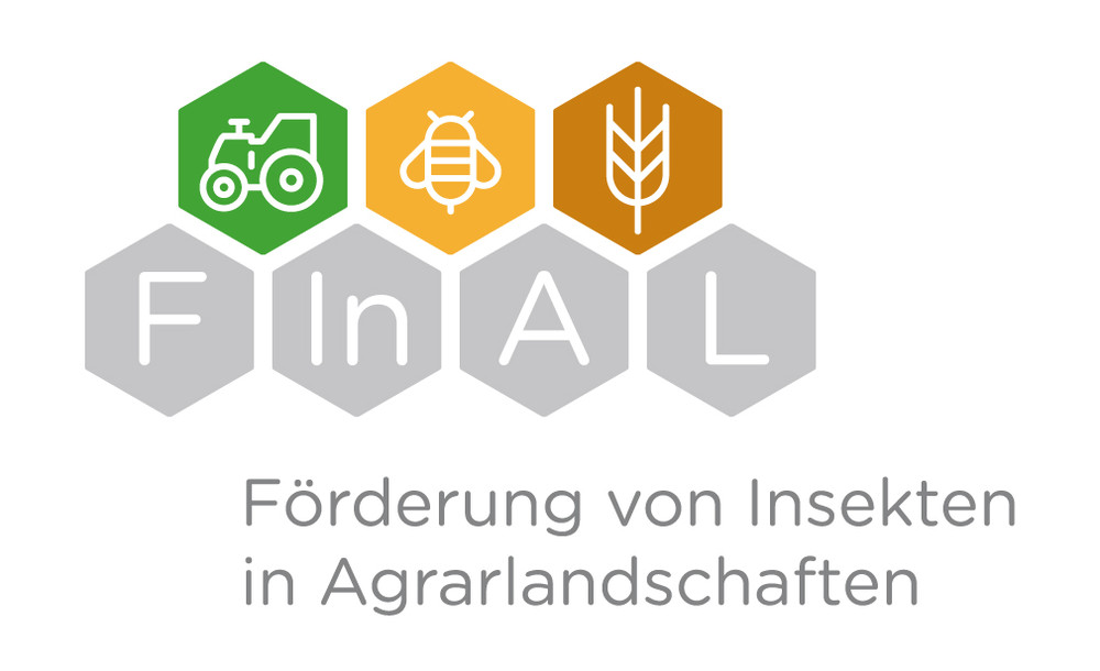 Logo Projekt FInAL.